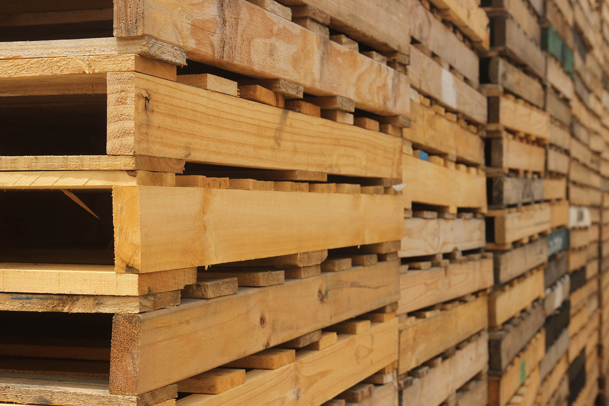 Palletwise facility and pallet yard